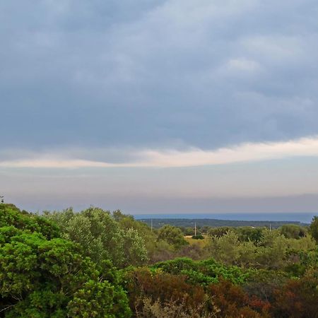 Agriturismo Su Birde أروسييْ المظهر الخارجي الصورة