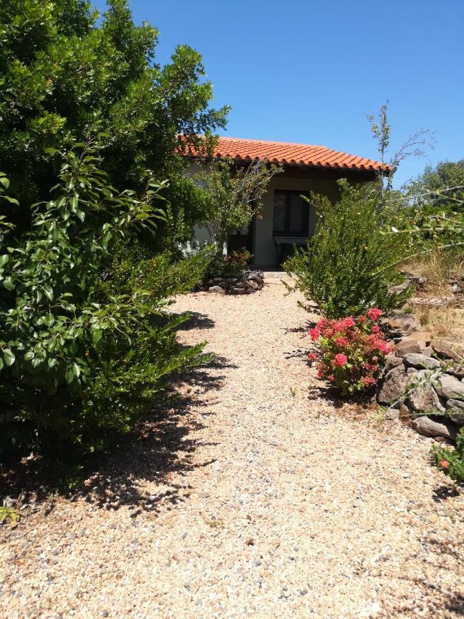 Agriturismo Su Birde أروسييْ المظهر الخارجي الصورة
