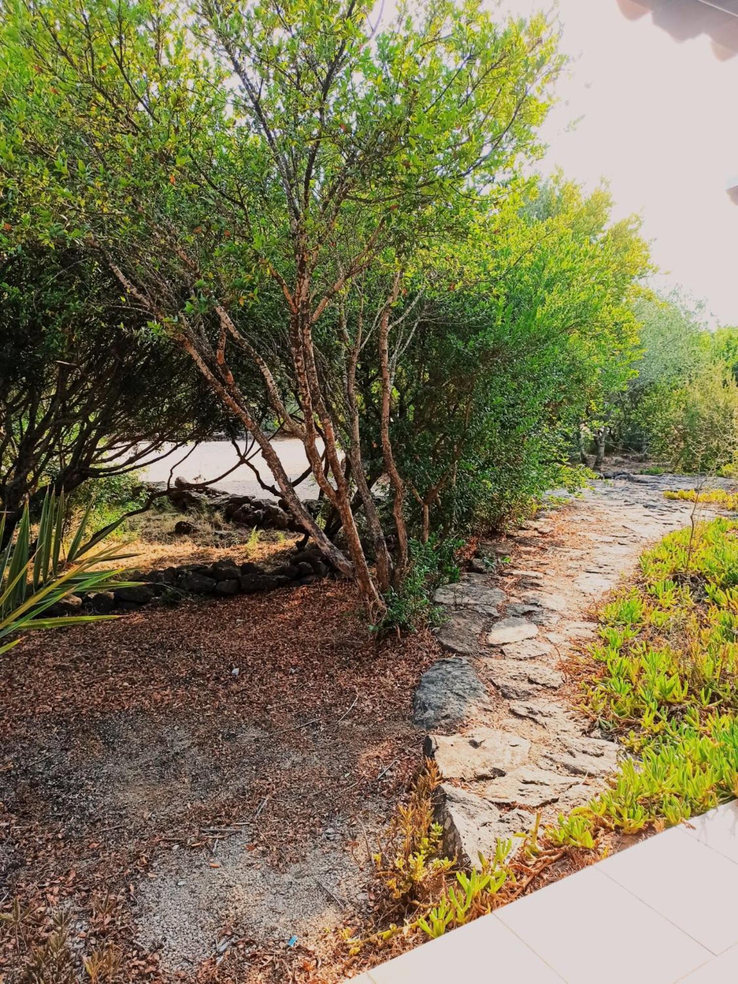 Agriturismo Su Birde أروسييْ المظهر الخارجي الصورة